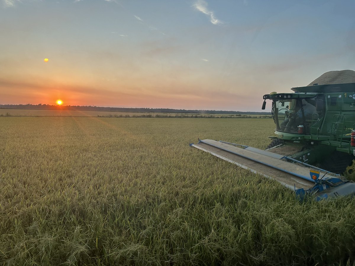 Mark Isbell (@mjisbell) on Twitter photo 