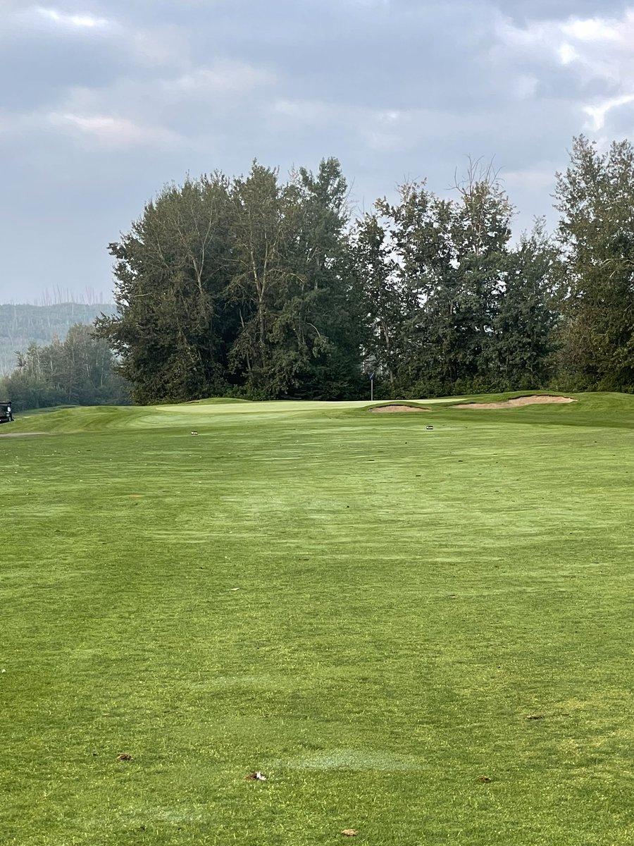 JeffHacior's tweet image. Turf care has completed the bunker project on 11 (Bear 2) Drainage, sod and sand placement are complete and open for play. Shaping courtesy of @OCGolfDesign @bohnysty adding a refreshed look, character and enhancing playability.