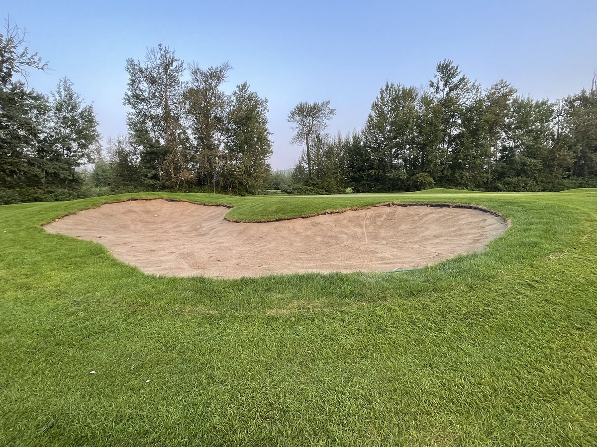 JeffHacior's tweet image. Turf care has completed the bunker project on 11 (Bear 2) Drainage, sod and sand placement are complete and open for play. Shaping courtesy of @OCGolfDesign @bohnysty adding a refreshed look, character and enhancing playability.