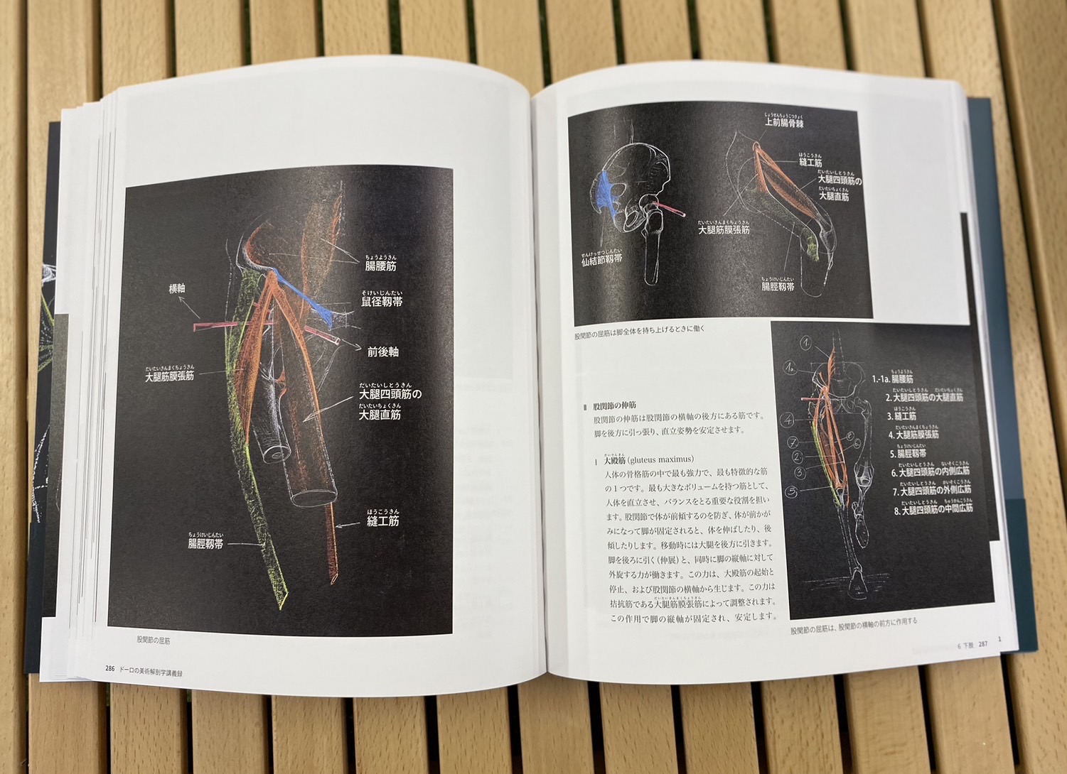 伊豆の美術解剖学者 on X: 