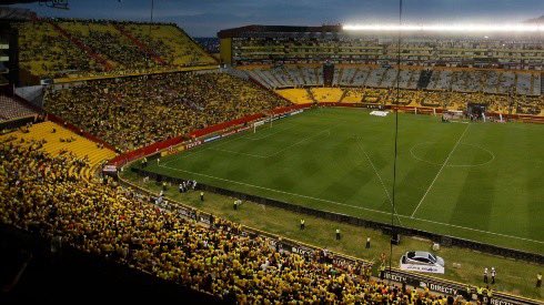 Andrés Pizarro tweet media