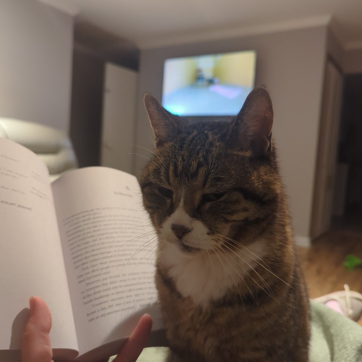 Elemjay8815's tweet photo. Waiting for the #wallcomp. Get me a snack and a drink! #bb26 #BigBrother26 #bigbrother #adoptableanimals https://t.co/8eXaaZiR16