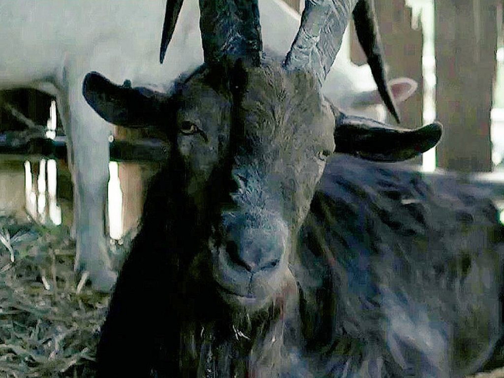 Y2John84's tweet photo. Black Phillip is on your timeline. https://t.co/fS0ch2Nlev