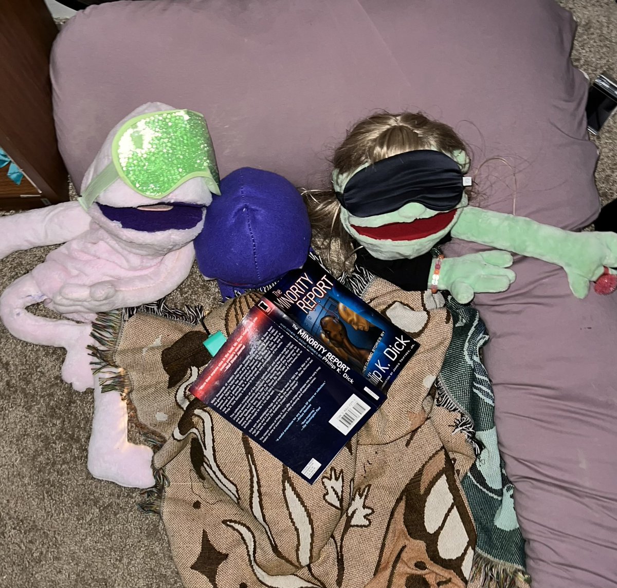 quikertripcorp's tweet photo. sleepover https://t.co/z4KbiiCLIq