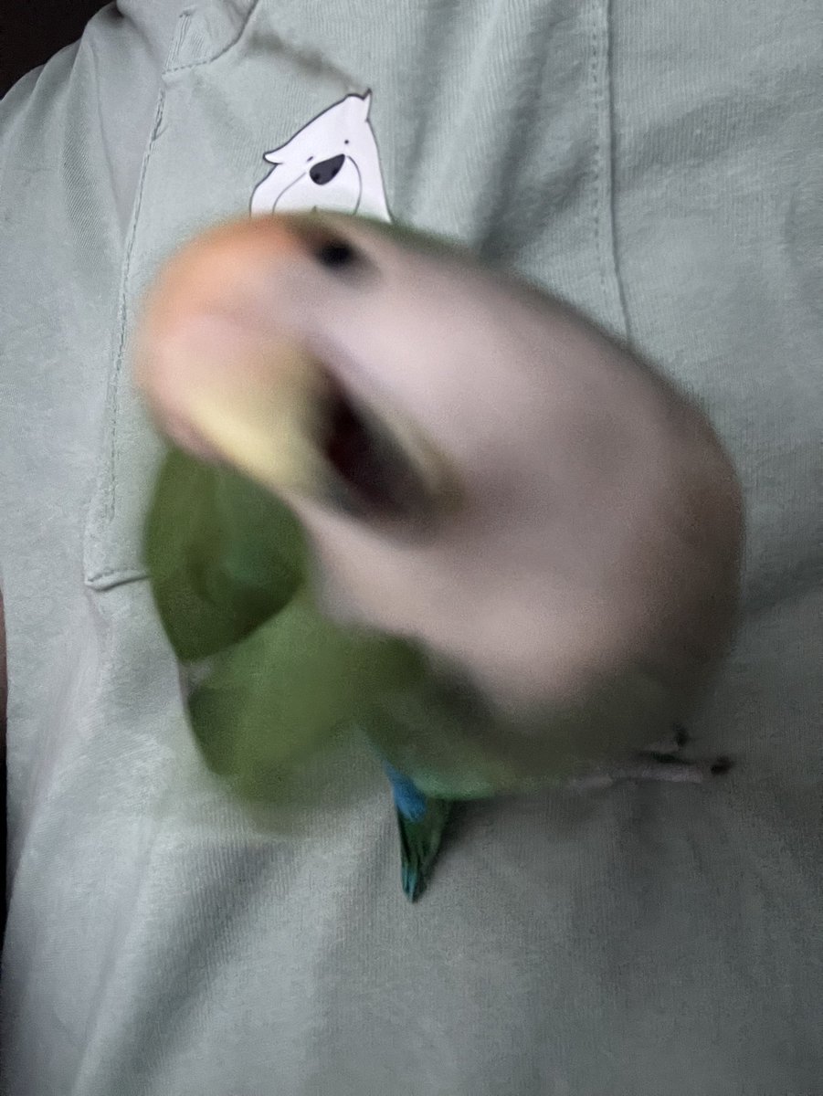 撮られたことに気づき発狂ここす