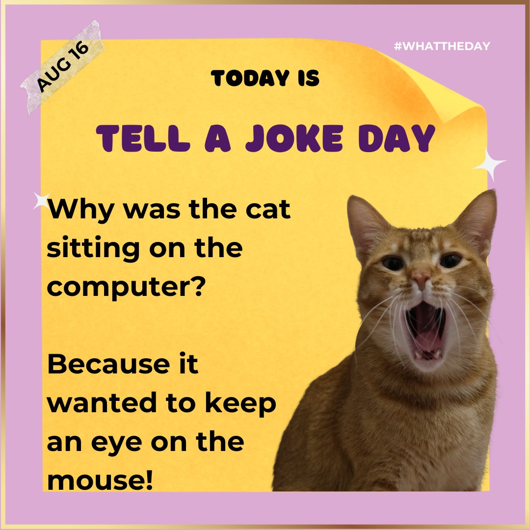 hrikutoys's tweet photo. Bhanu Bhai Jokes!

#catnip #catmeme #uttarakhand #cattoys #madeinindia #vocalforlocal #cats #pettoys  #toy #meow #catniphigh #catniptoy #catsoncatnip #dehradun #pets #Indian #India #instacat #funny #indiancat #hrikutoys #hrikucattoys https://t.co/ABS8M5y2JF