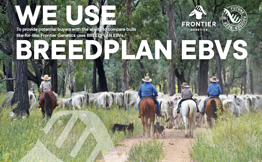 frontiergenetic's tweet photo. We use BREEDPLAN EBVS to provide our buyers with the ability to compare bulls like-for-like.
Frontier Genetics Annual Bull Sale - Online Auction - 29-30 August 2024.
Learn more: https://t.co/Ec9gTn3Dbo https://t.co/44qKNxhyfU