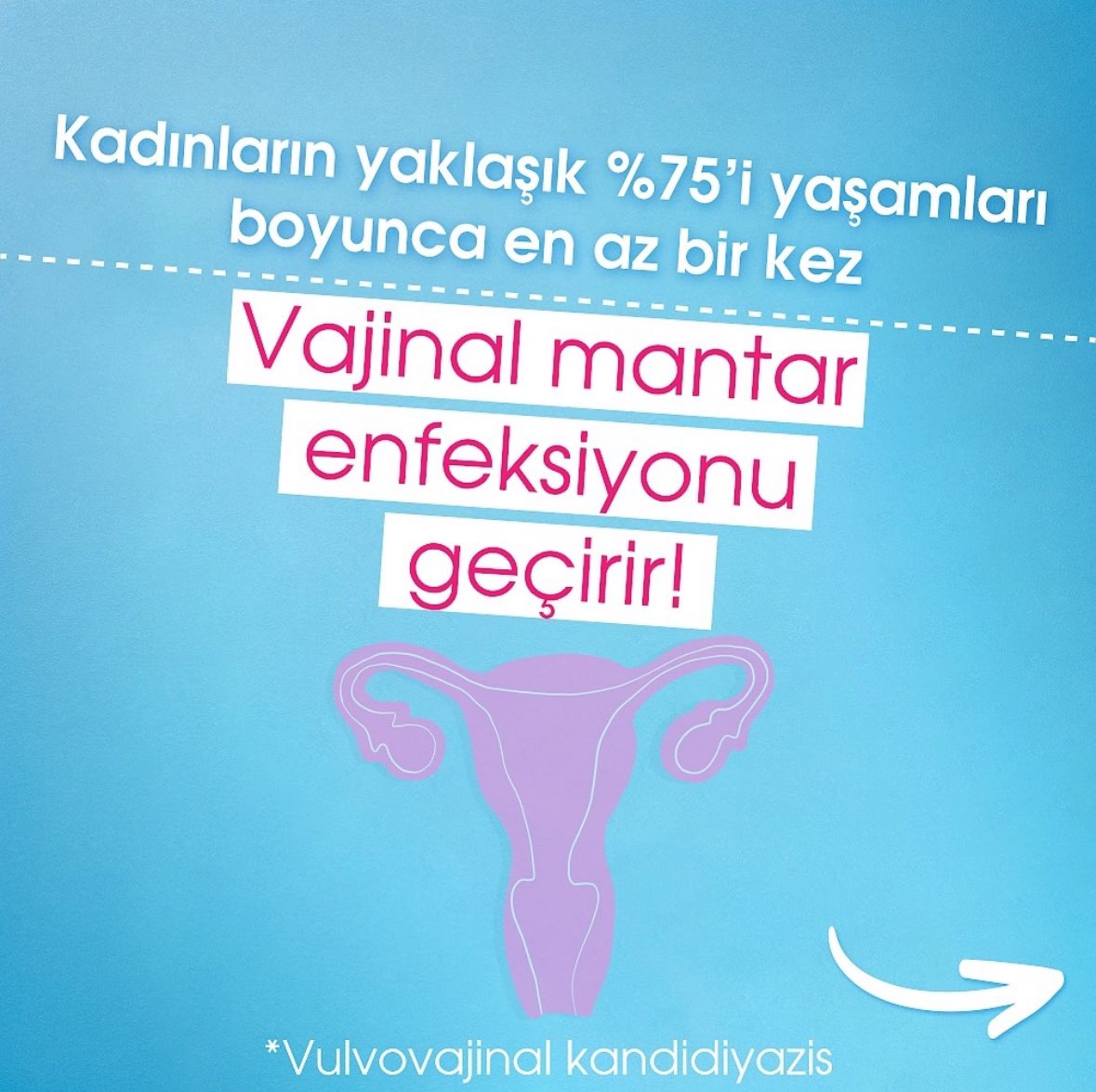 inflesstr's tweet photo. Vajinal mantar enfeksiyonu (vulvovajinal kandidiyazis), genellikle Candida adlı mantarın vajinada aşırı büyümesiyle ortaya çıkar. https://t.co/iJ13NlsGT2