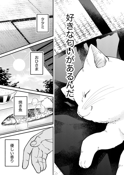 (3/9) 