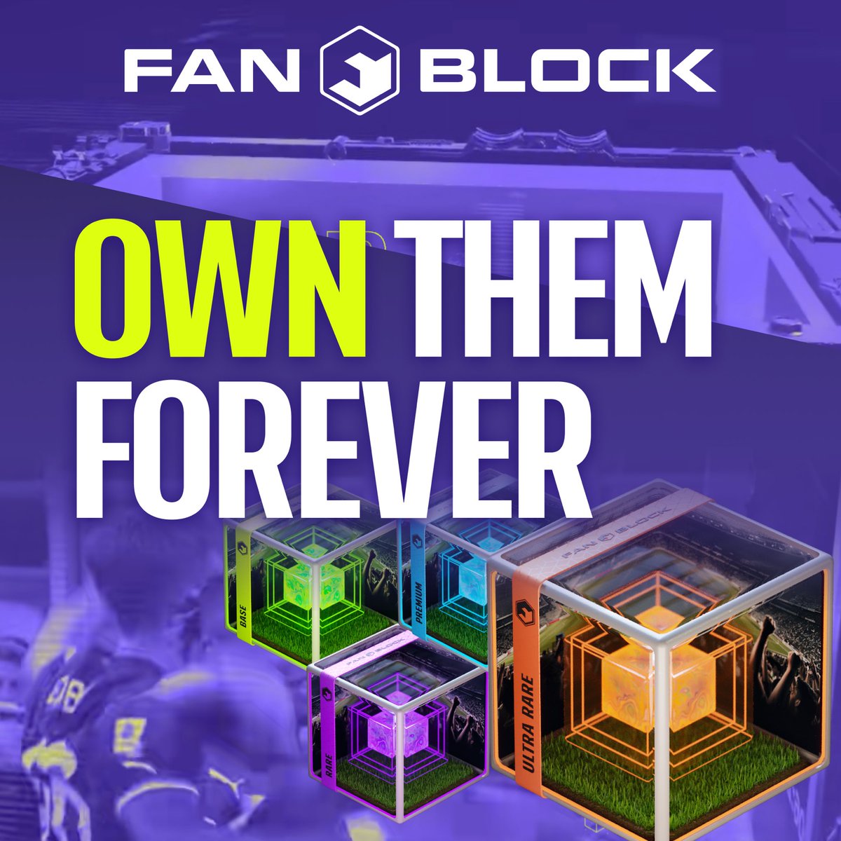 Fanblock Football tweet media