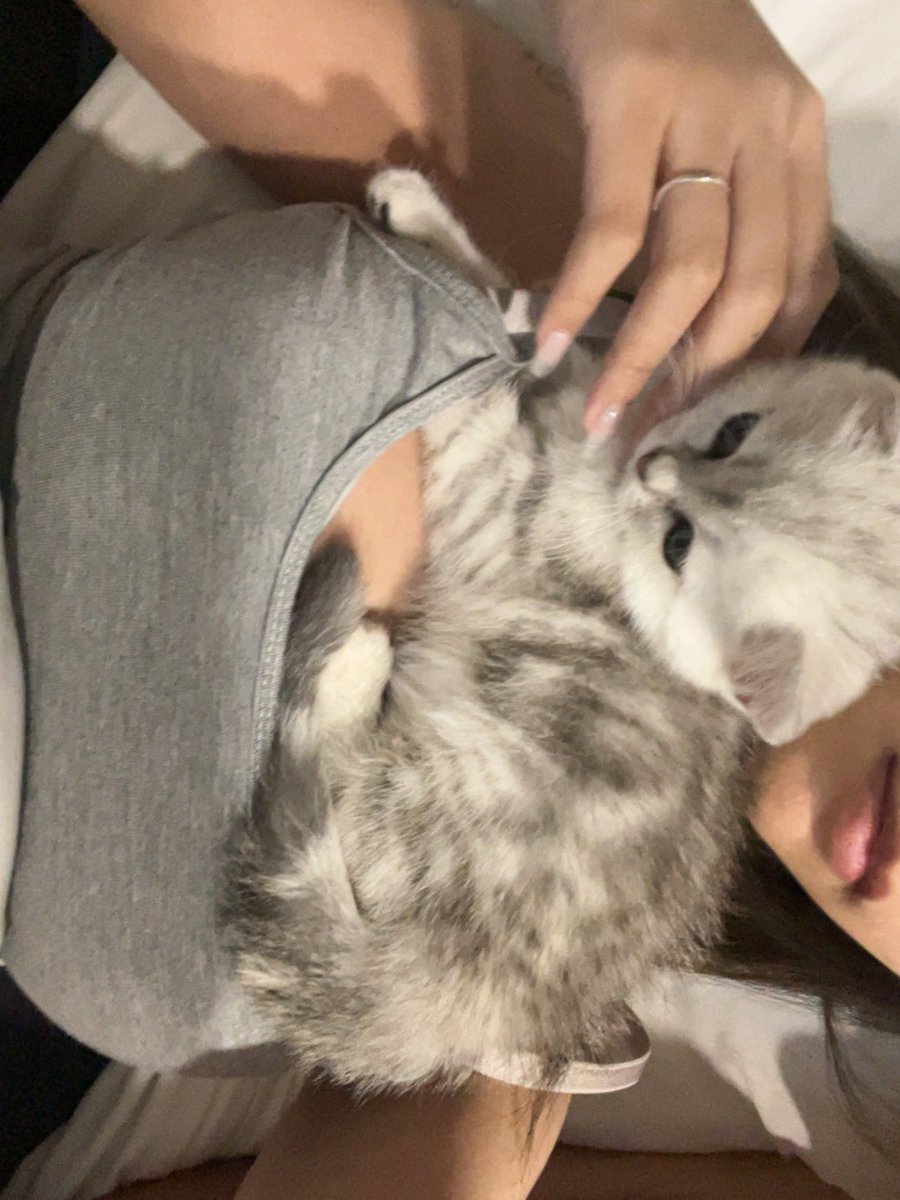 justfarinn's tweet photo. 🐈‍⬛ https://t.co/YxtAiKrUfq
