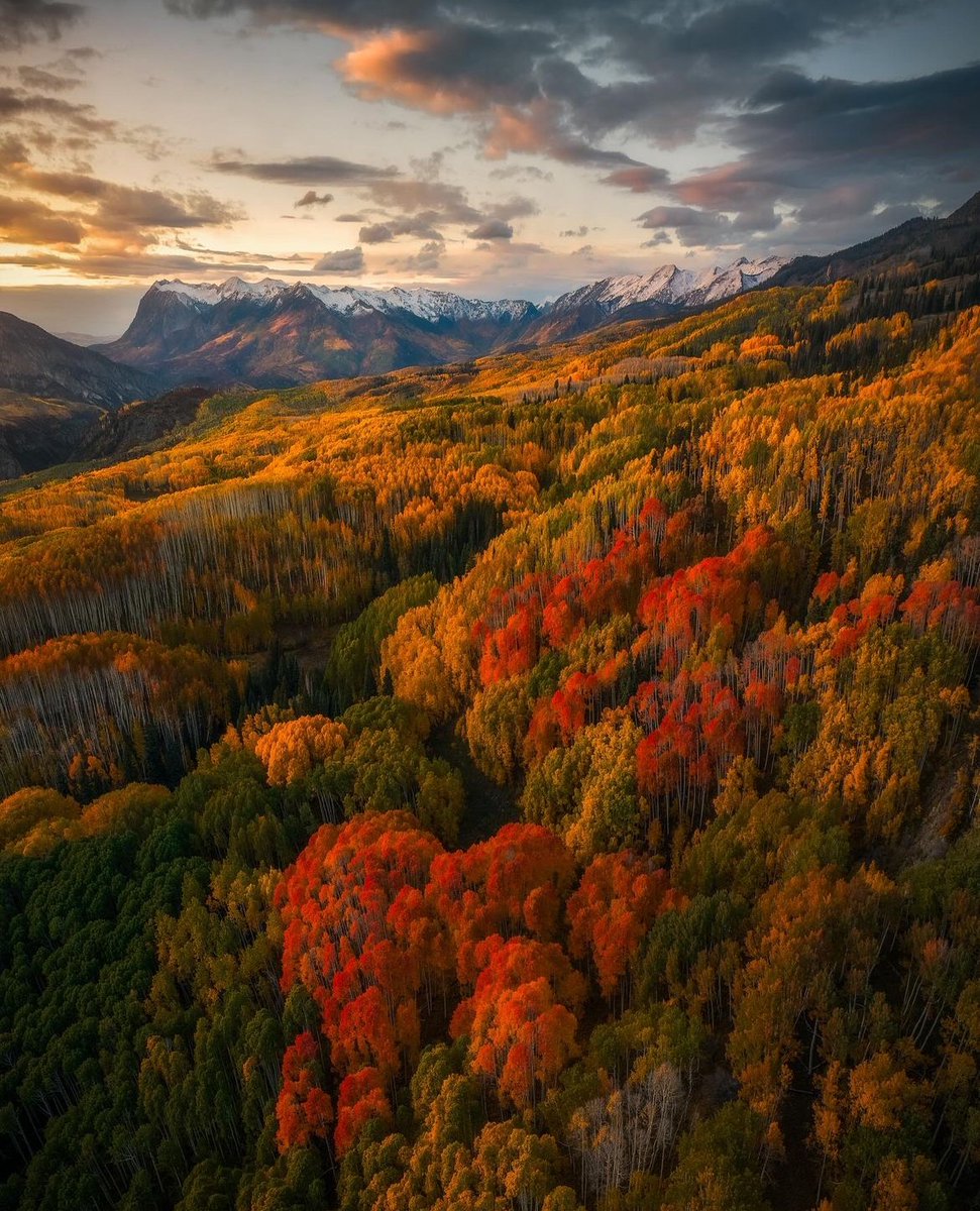 Fall colors in Colorado 🍂