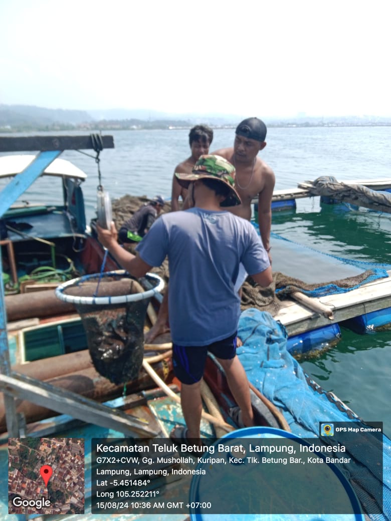 Samsun Aribama tweet media