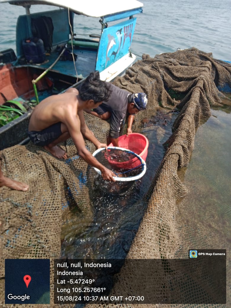 Samsun Aribama tweet media