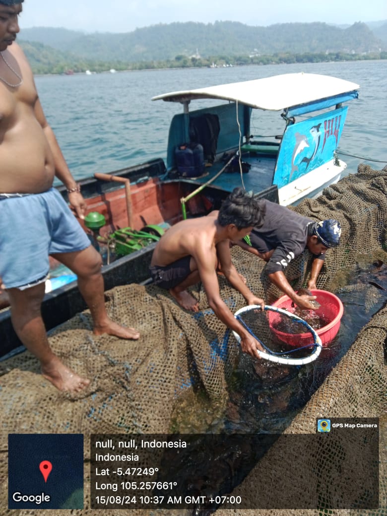 Samsun Aribama tweet media