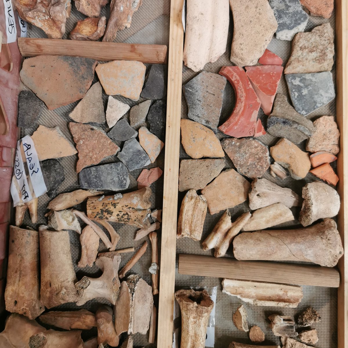 cfa_archaeology's tweet photo. For #FindsFriday this week, we're doing an #AppreciationPost for varied finds assemblages 😍
We've got fine pottery, we've got coarse pottery, we've got animal bone - what isn't there to like? What's your favourite object on our #TrayOfWonders?
#FridayFind #RomanTwitter https://t.co/umWPECYtvy