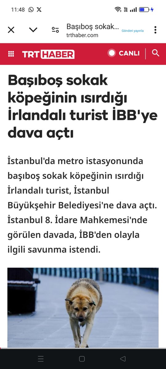 Seçil Selen 🇹🇷 tweet media