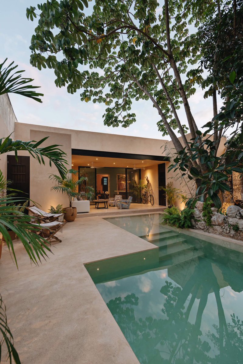 dream backyard