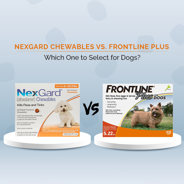 DiscountPetMart's tweet image. Nexgard Vs Frontline Plus 

Choose the best treatment for protecting your pet from fleas and ticks. We are here to help you choose and explore the effectiveness of each product to help you decide.
us.bebee.com/producer/nexga…

#doglover #Nexgard #frontlineplus #flea #petlovers