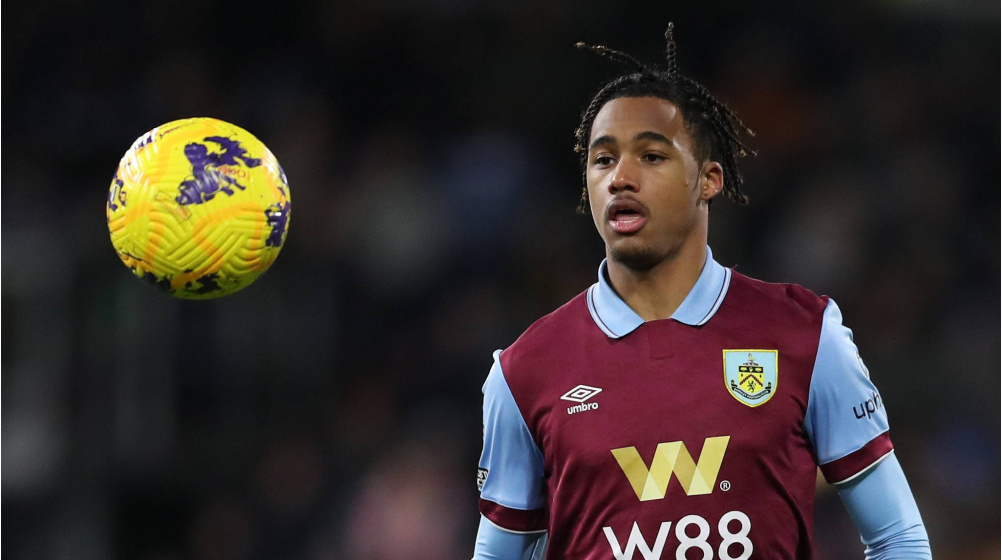 Sacha Tavolieri tweet media