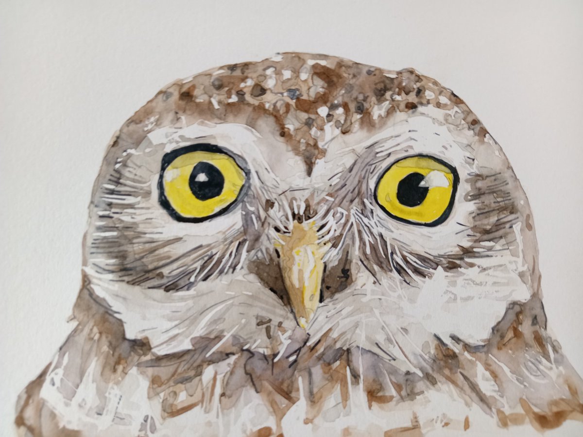 Bonne journée !
#drawingaugust #watercolour #owl