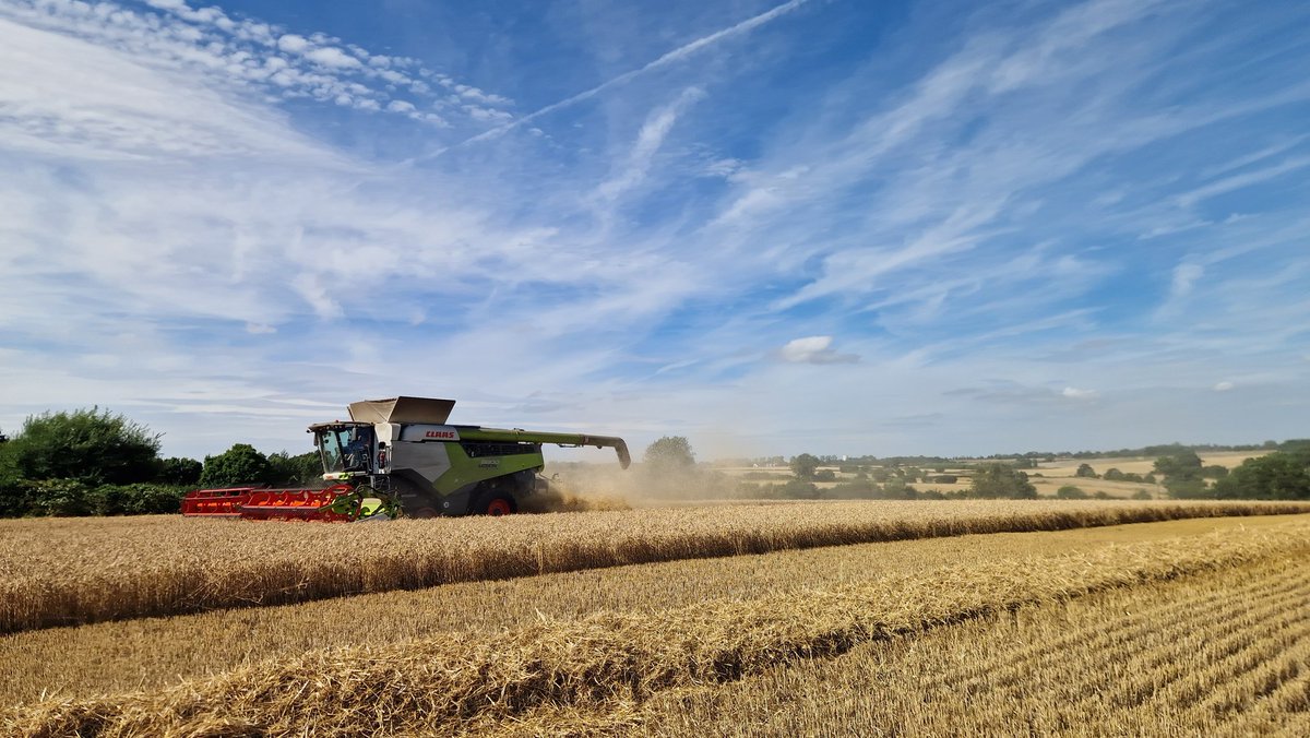 Ben Martin tweet media