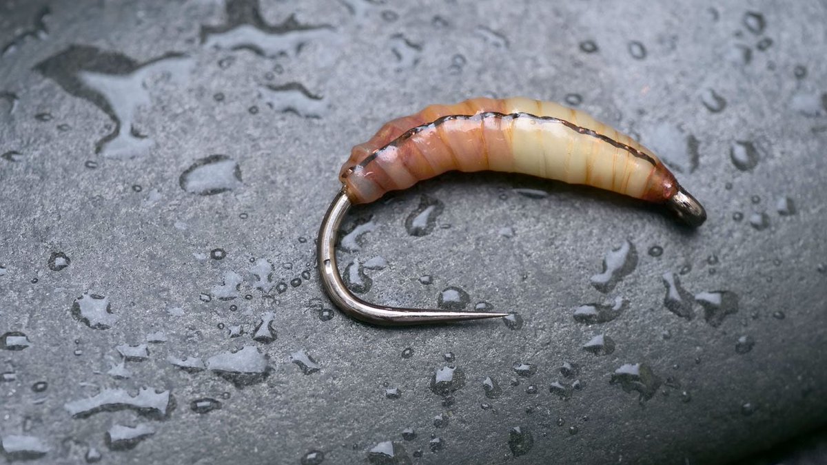 Down the rabbit hole 🤦‍♂️