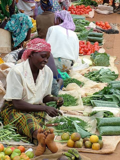 mwenda2019's tweet photo. #DigitalSkills and  #AI to  provide innovative solutions for our local farmers. From optimizing crop yields to enhancing market access, we're using technology to address the challenges faced by our agricultural community. Together, we're cultivating a future.
#IsioloTech4change https://t.co/sGVivRtRvn