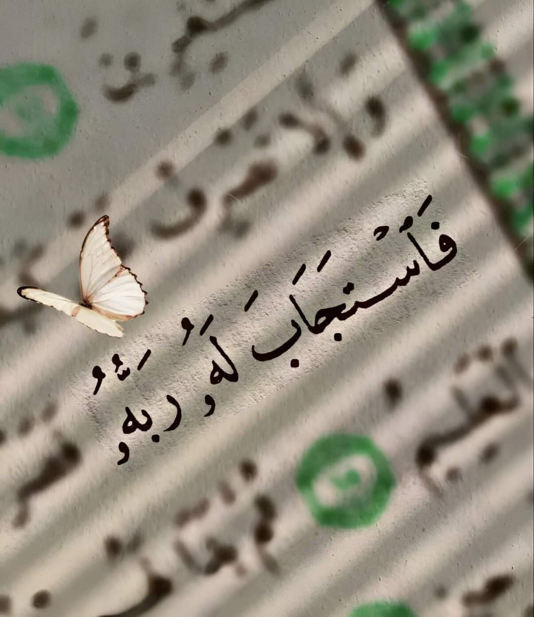 xx__zb's tweet photo. "لَيْسَتْ صُدْفَة، إِنَّهَا رَسَائِلُ اَللَّه لَكَ."💙✨
#تابعني_أتابعك https://t.co/KgpueurG16