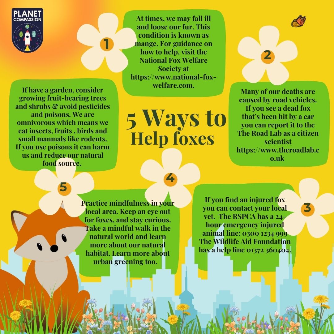PlanetCompass's tweet photo. Here's our digital download of how to help foxes🦊

#fox #redfox #foxoftheday #urbanwildlife #londonwildlife #citizenscience https://t.co/flRLRrSRzL
