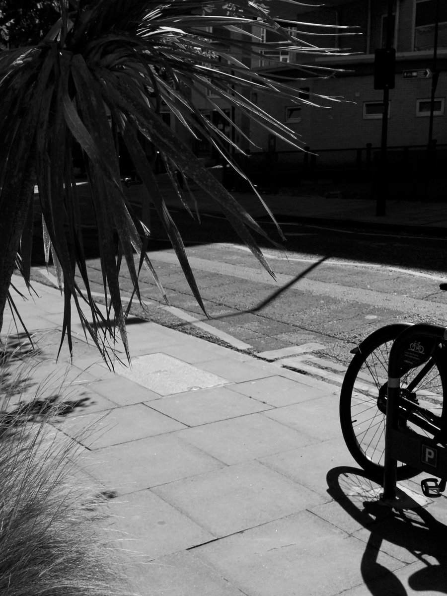 Dimitri Novikov 🇺🇦 tweet media