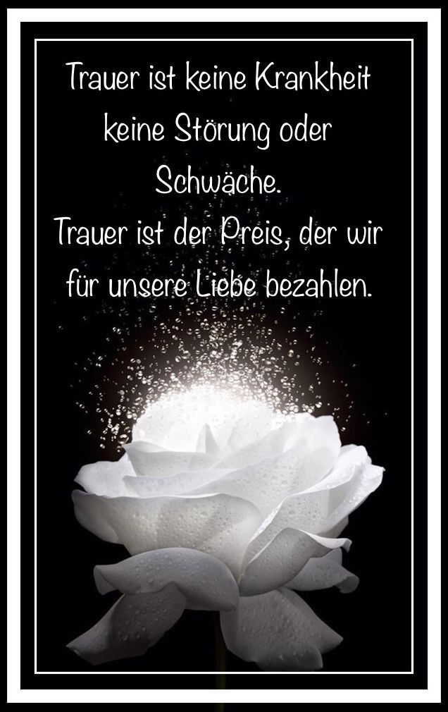 Monika_20134's tweet photo. @BeaBohne Herzliches Beileid und eine Umarmung. 🤗 https://t.co/BBbj8HLSk7