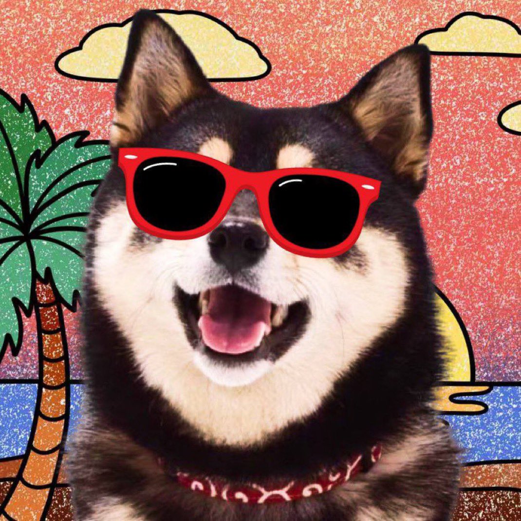 brandonsalim's tweet photo. $aco max bidding zone

the only Shiba girl on chain with hyper cult community https://t.co/pizWVk2WFq
