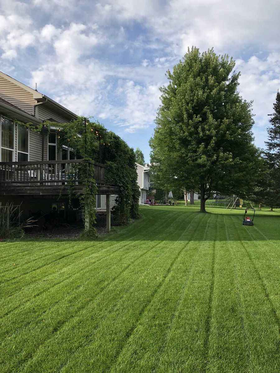 Theis23Aaron's tweet photo. @OutKickTNML 2week hiatus to the Ozarks, spreading the word (TNML)! AND, glad to be home. Ample rain while away and even a Friendly Mow by a neighbor! Chinook hops coming in! Let’s brew! https://t.co/utxwgdCc20