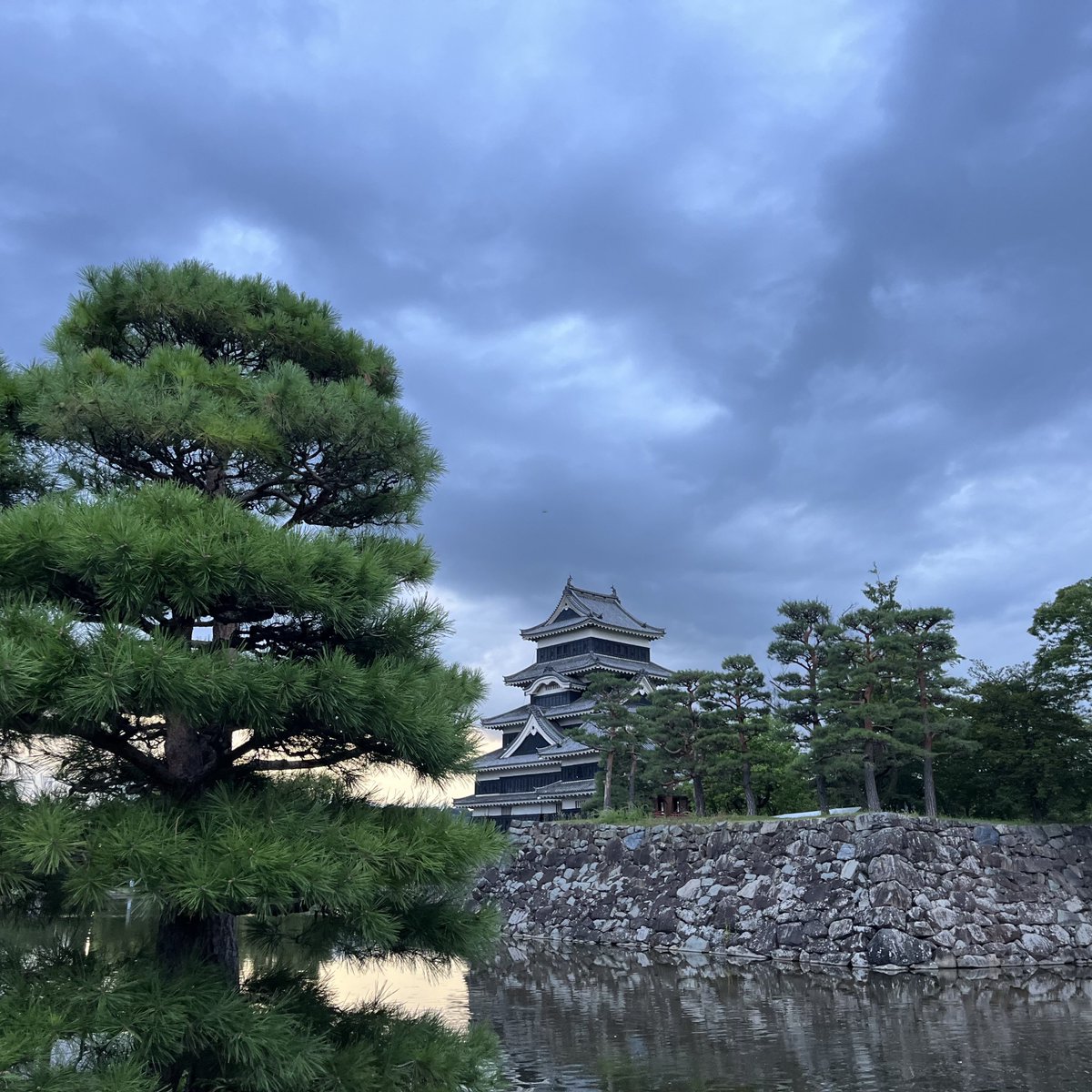 Ken_JACK_'s tweet photo. 先日道志にある下村キャンプ場行ってきた。

日が落ちるとめちゃめちゃ涼しかったのと星空エグかったので納涼キャンプ最高でした🏕️

翌日には長野県松本市に弾丸で行ったとさ。

#納涼
#キャンプ https://t.co/lYmtyNDWxM