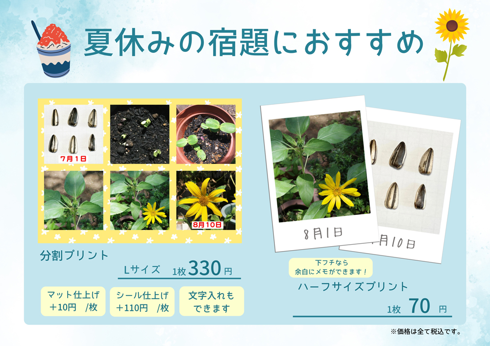 koide_001's tweet photo. 夏休みの宿題は順調ですか？ 

 小さめのプリントなら分割プリントや
ハーフサイズプリントがおすすめ✨

ネットからもご注文できます！

↓分割プリントのご注文はこちら
https://t.co/usKVIygVUB

↓ハーフサイズプリントの注文はこちら
https://t.co/M2BosjbeeH

#宿題 #夏休み #観察日記 https://t.co/QJnKj2bVEL