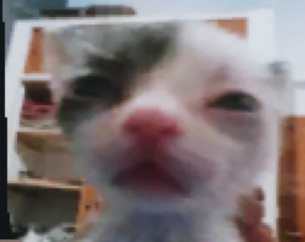 mxrningrxses's tweet photo. breaking the hiatus to check out the new campus😼 https://t.co/5yoJhf8OgV