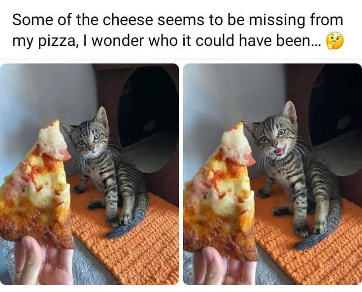 WholesomeMeme's tweet photo. https://t.co/86ZD3f5g9g