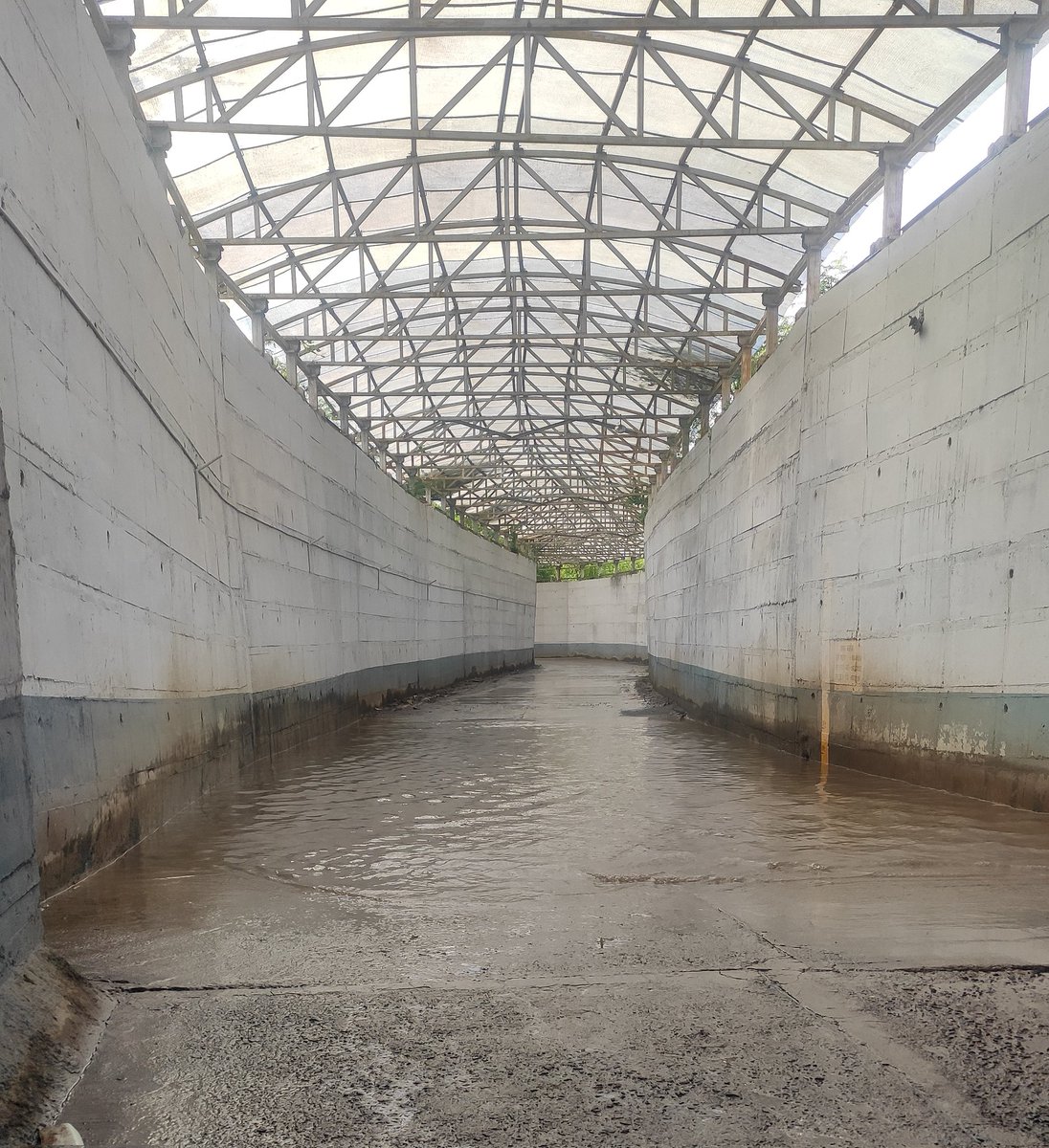 Aproudperson's tweet photo. Poor Design and Bad Construction work of Railway cross between ODF and Railway ZTC BSL causing water leakage/seepage at various points of underground bypass road which leading to water logging (Since a week no rain still logging issue) @BhusavalDivn  @GM_CRly @AshwiniVaishnaw https://t.co/8tRBlAk0kC