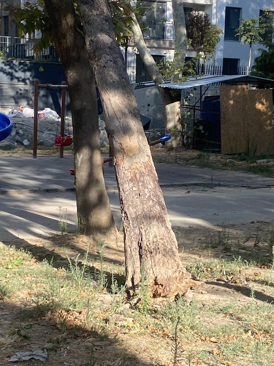 MELEK3408's tweet photo. Çocuk parkına devrilmek üzere olan bir ağaç mükemmel belediyecilik anlayışı ama siz yarın gelir kesersiniz böyle böyle parktaki ağaçları bitirdiniz yazıklar olsun @beylikduzubeltr @IBBcozummerkezi bu işi yapamıyorsunuz @mmuratcalik https://t.co/NmnRlpxxHS