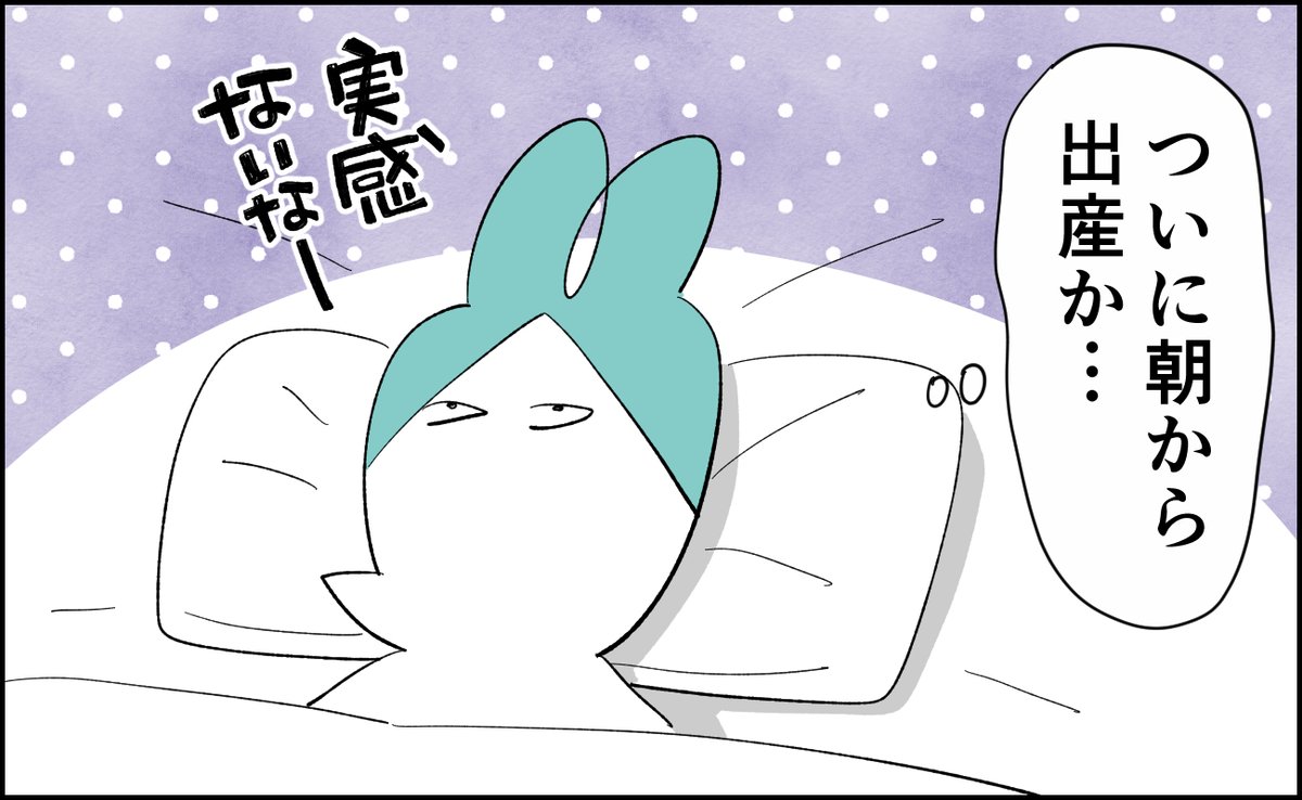 無痛分娩のはずが緊急帝王切開になった話 6/32
#漫画が読めるハッシュタグ #育児漫画 