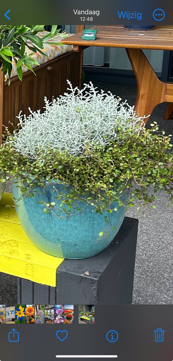 Ineke Vonk tweet media