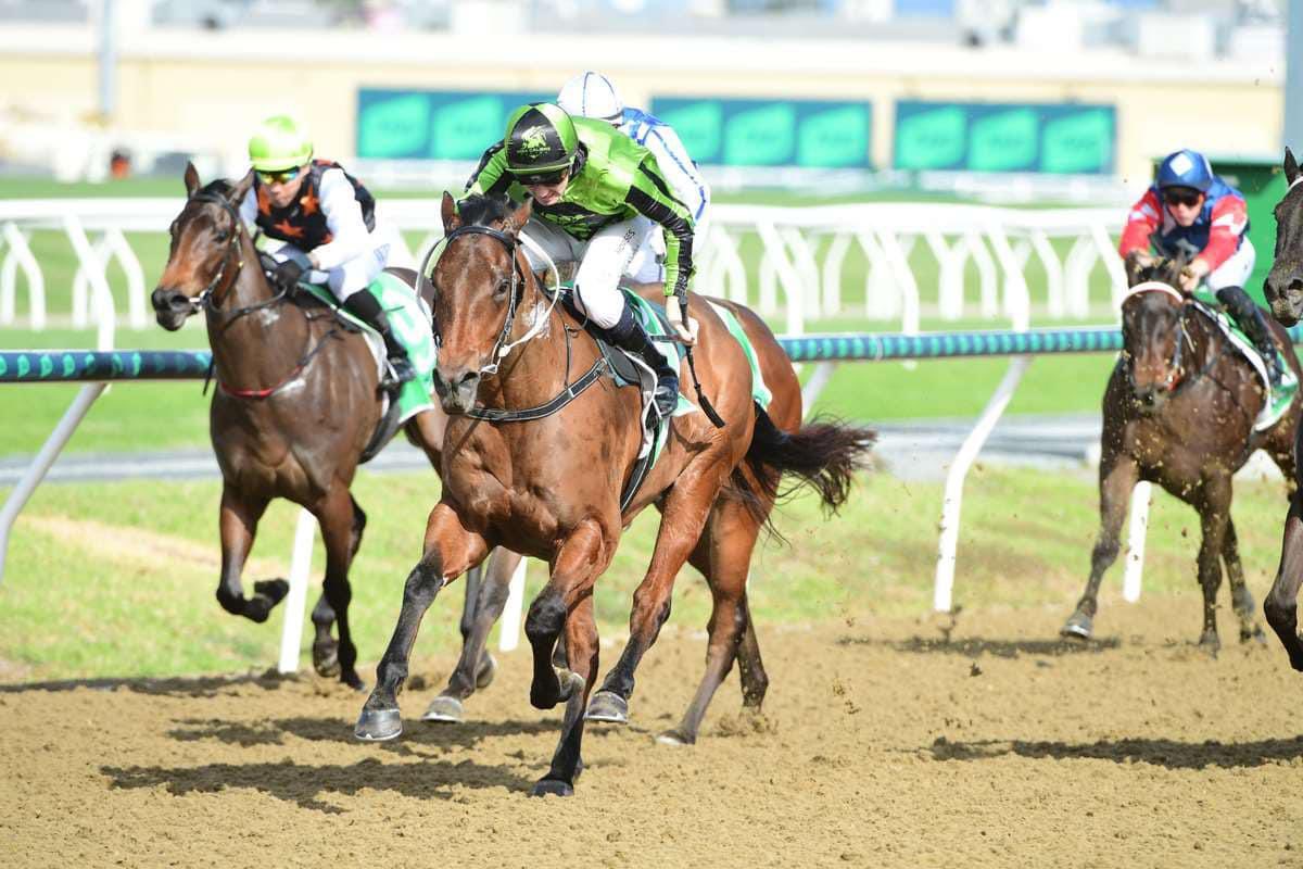 High Calibre Racing tweet media