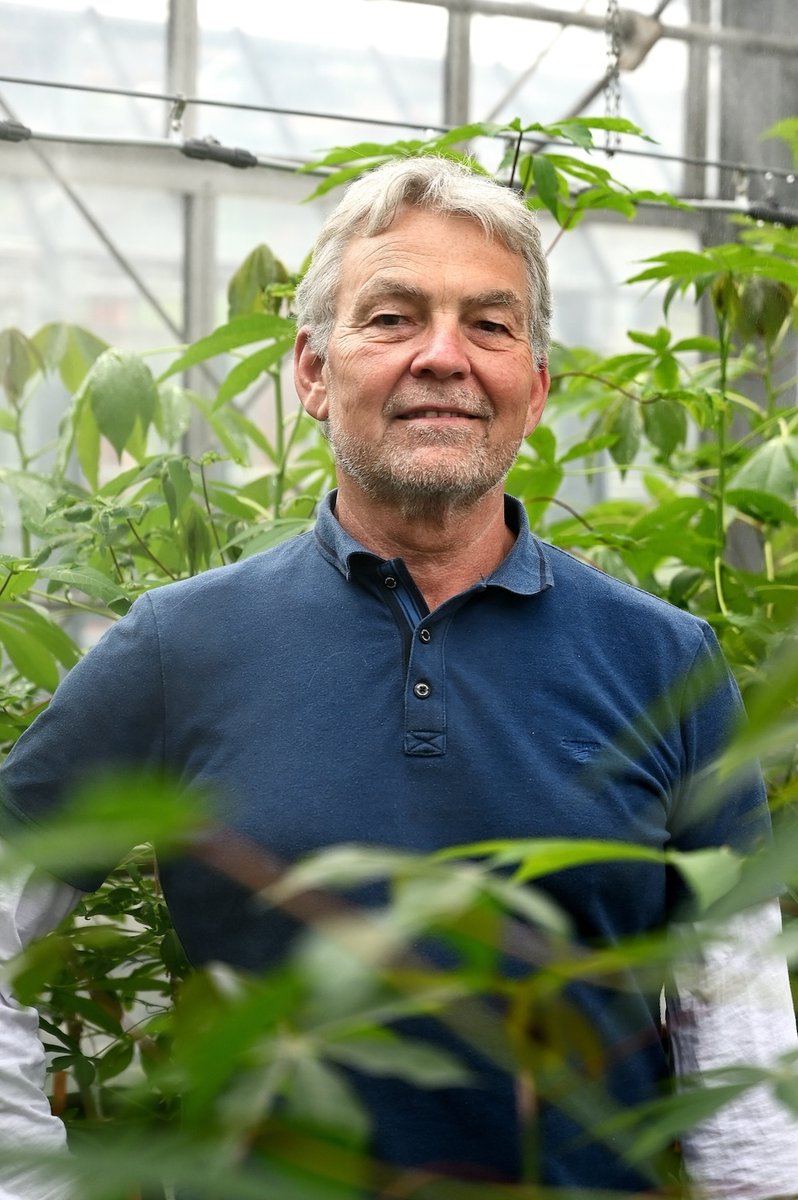 Leibniz_DSMZ_en's tweet photo. After almost 30 years of active research, the head of our Department of Plant Viruses 🦠🌱 is retiring - at least a little 😉
Read the full interview with Dr Stephan Winter here 👉 https://t.co/RX9MbIsVSI

#planthealth #cassava #plantvirus #sciencecampusbs #biodiversity https://t.co/Cgqz6kDVKA