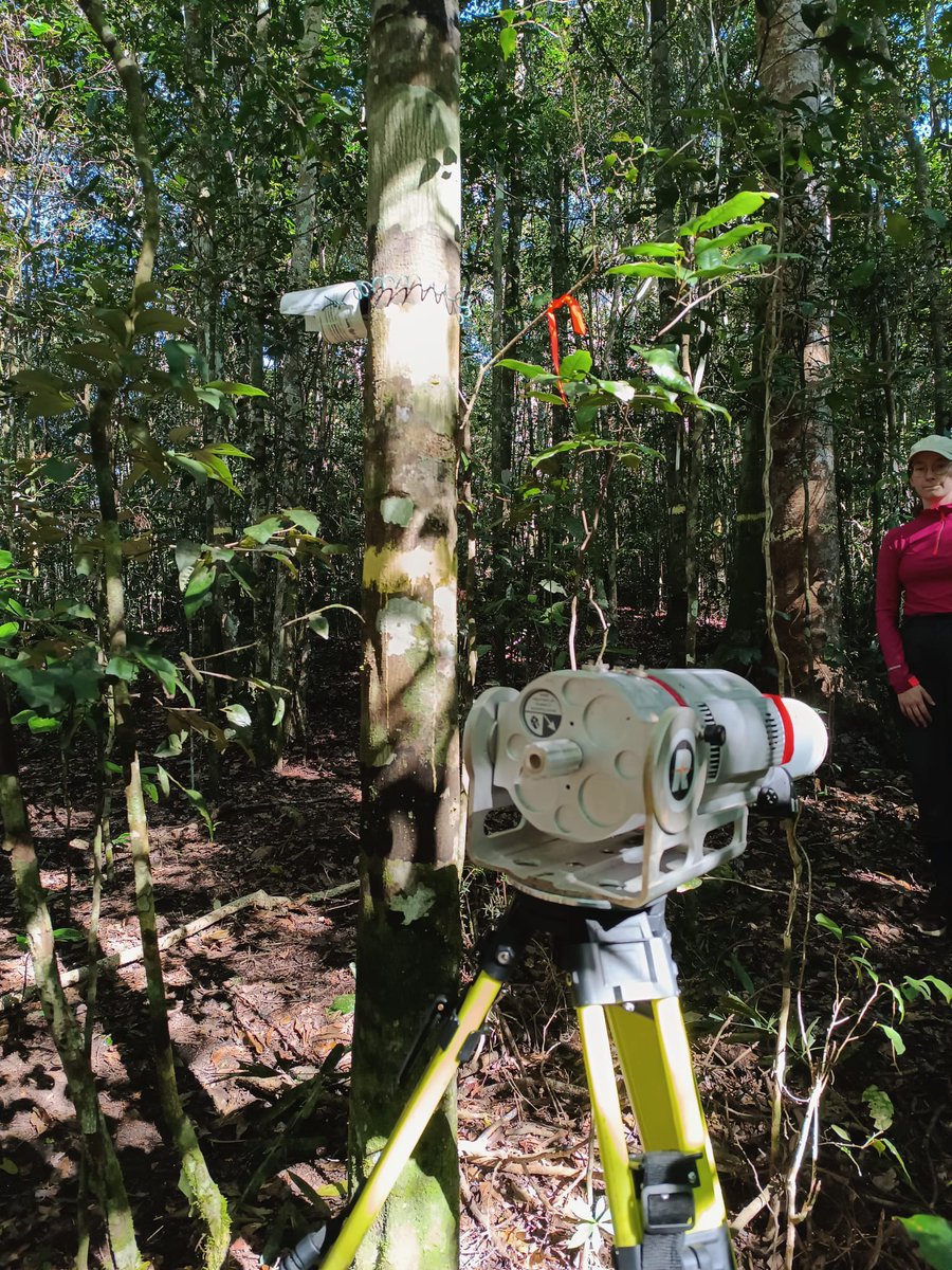 👁 Seeing the forest in a different light 👀  <a href="/kimcalders/">Kim Calders</a> team just spent 6 wks running TLS to create detailed point clouds of the veg across a diverse set of QPRP sites in Aus moist tropical forest. Great project with a lovely team. We look forward to the science that follows!