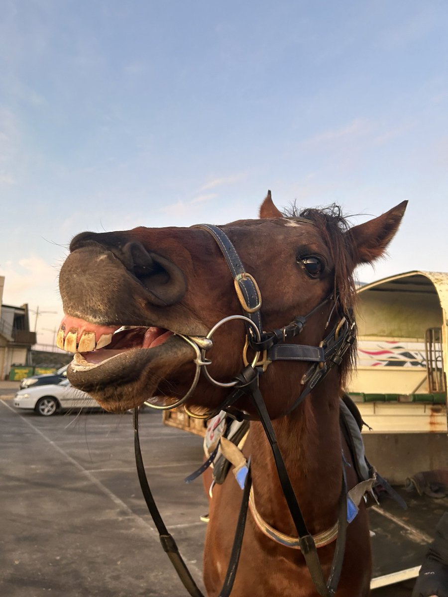 Smile!
It’s almost the weekend!