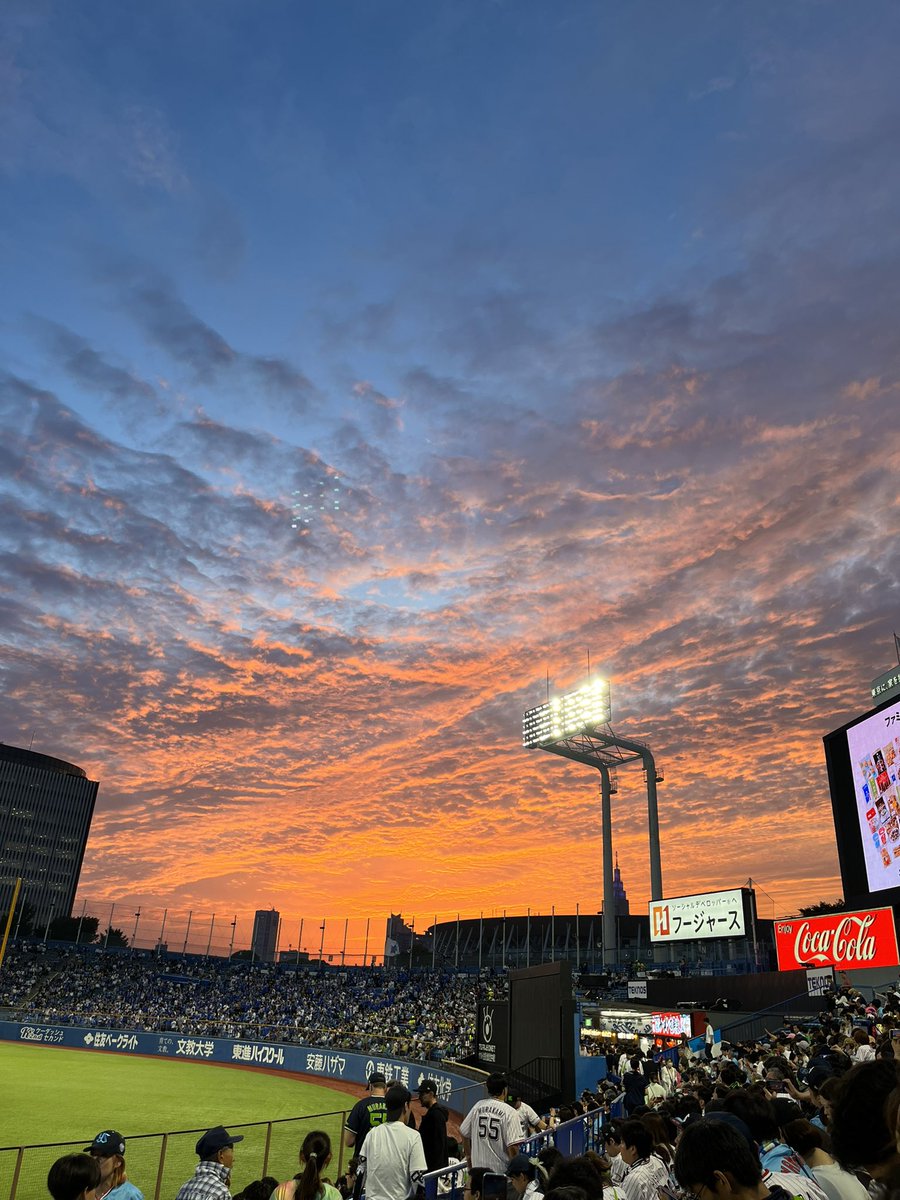 Wing1059Xxiv's tweet photo. #台風で試合中止暇になったからあなたの神宮写真最高の1枚を見せてみた人もやる https://t.co/J8m3fURMdz