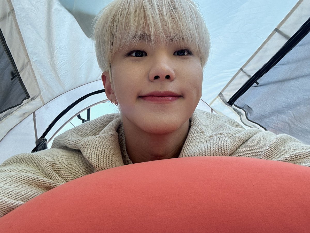 my cutieful hoshingi, let me bite ur cheeks 🤏🏻
