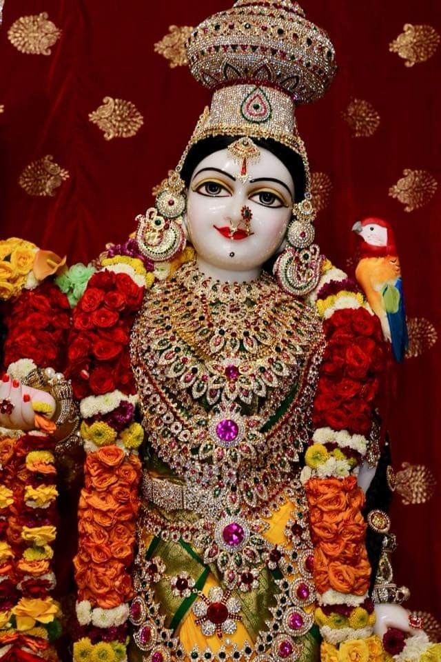 iRichaAwasthi's tweet photo. ❤️🌸प्रेम से बोलो राधे राधे 🌸❤️ https://t.co/eCl5F5gx0Y