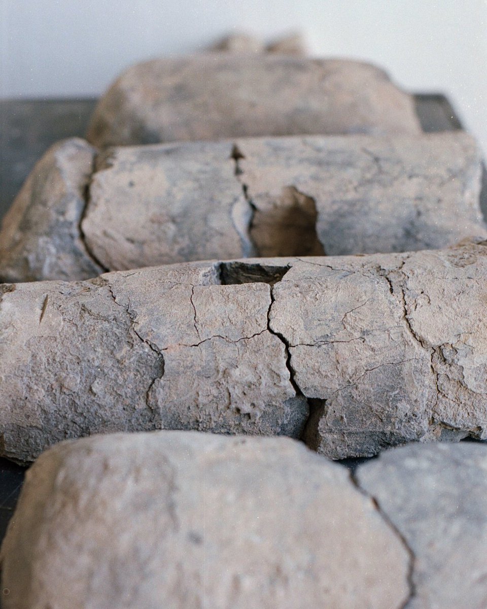 L'Arrière-Cour tweet media